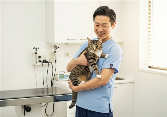 猫の体は水分が非常に重要